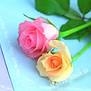 Cho những ngày yêu thương!