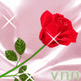 Nói với con