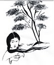 Hoa xoan